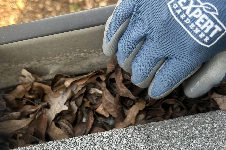 Gutter Cleaning Mountain Brook