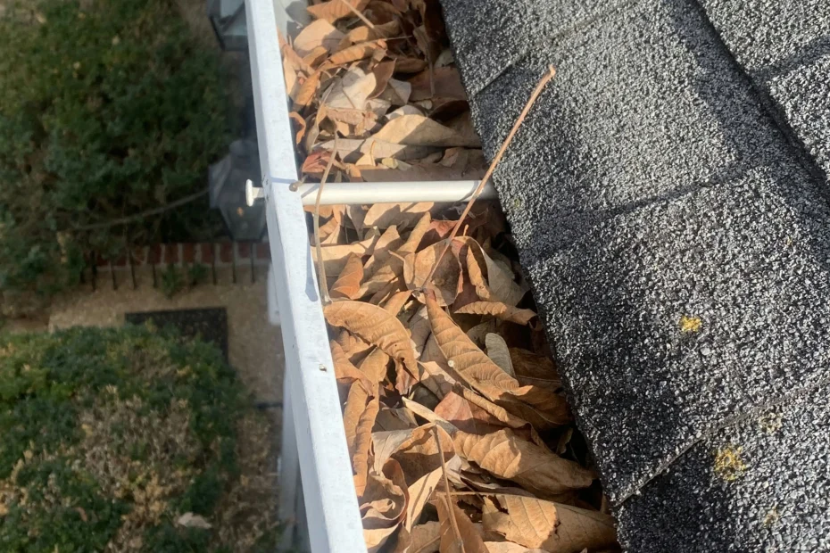 Gutter Cleaning Mountain Brook